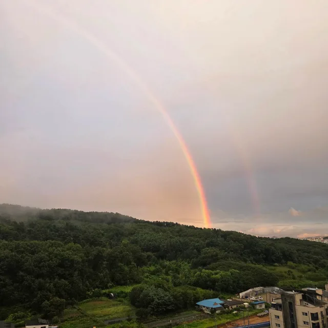 쑨이