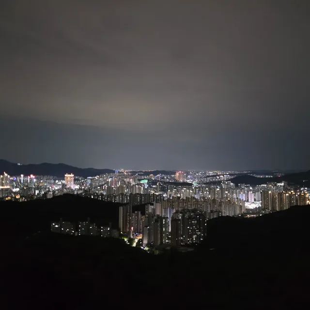 코알라비빔밥