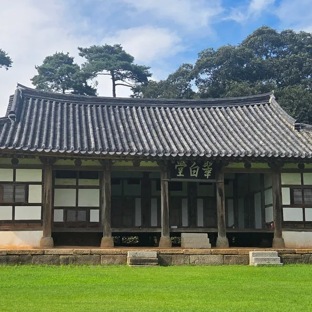 독도사랑