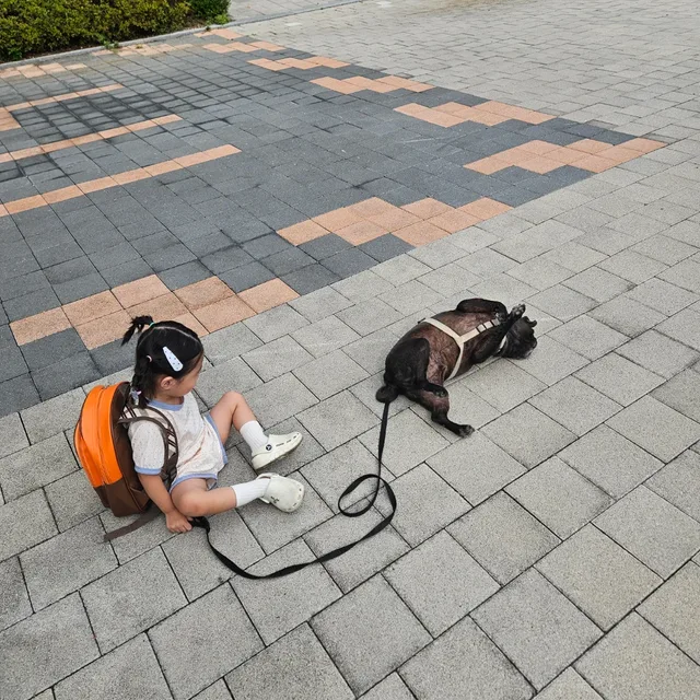 먹어먹어배불리