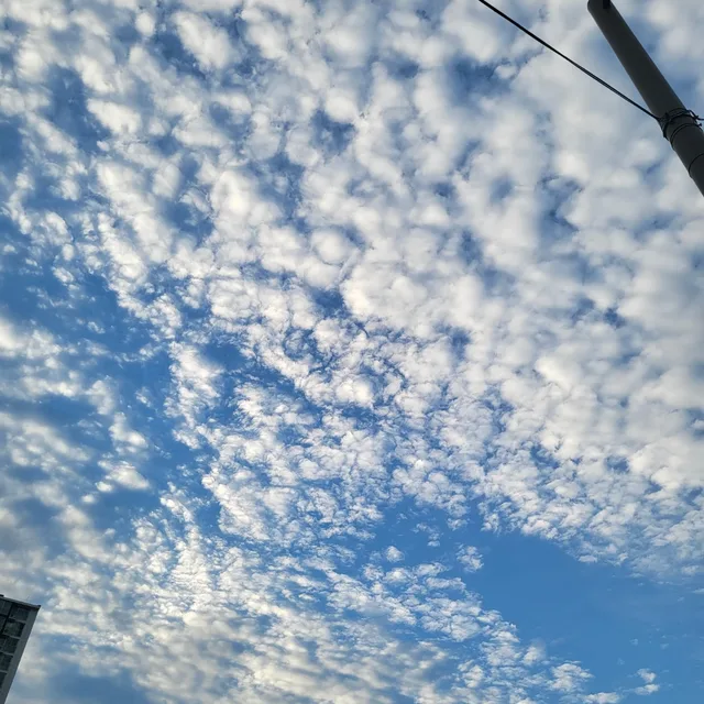 아나바다