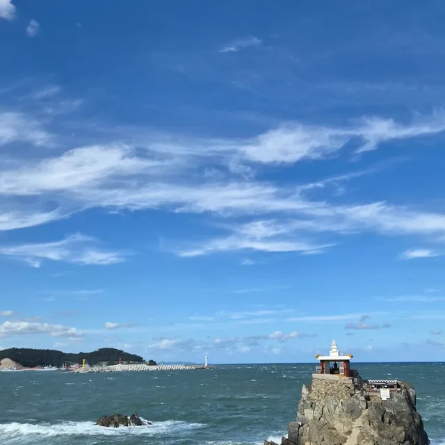 곰곰애비