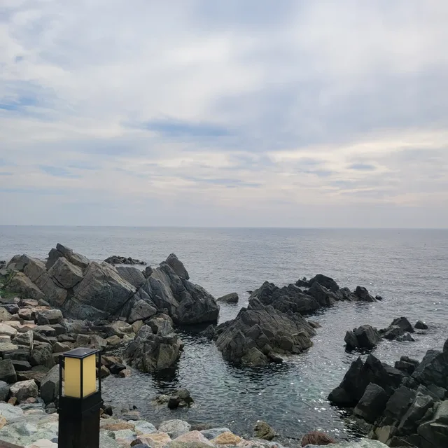 어머나니나