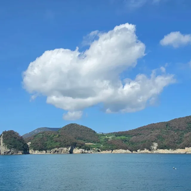 오늘도좋은날