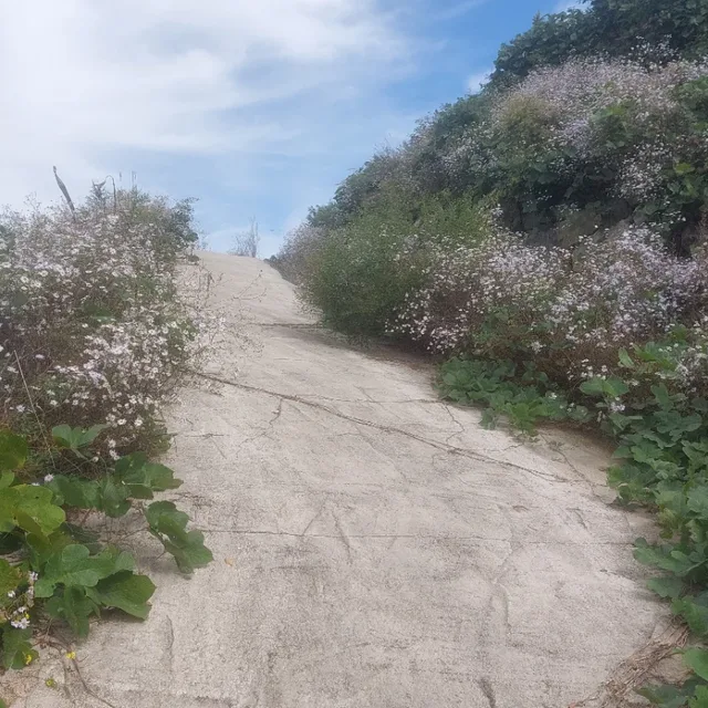 삼전