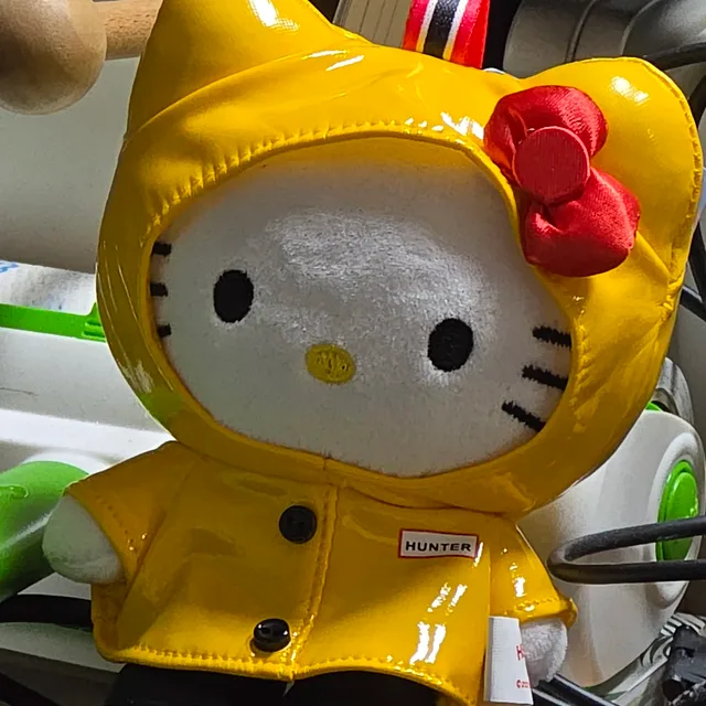 뽀곤이