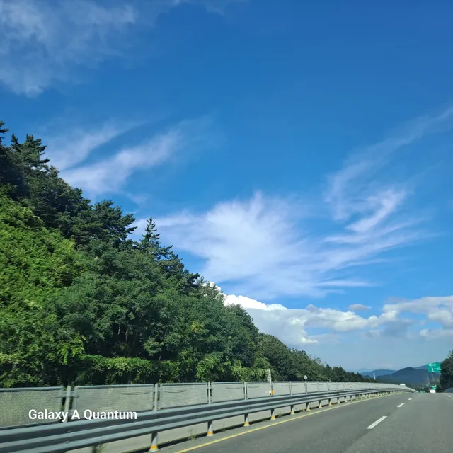동구