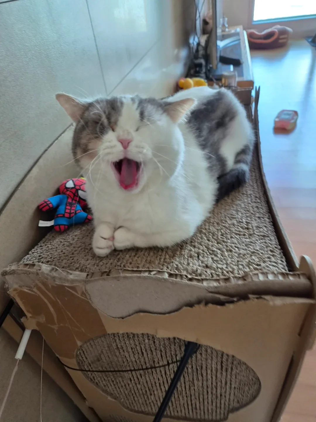 재민