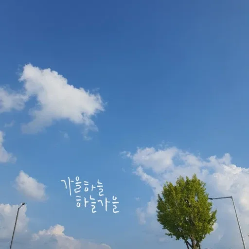 하울