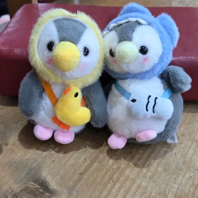 안씨