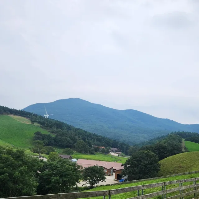 당근당근