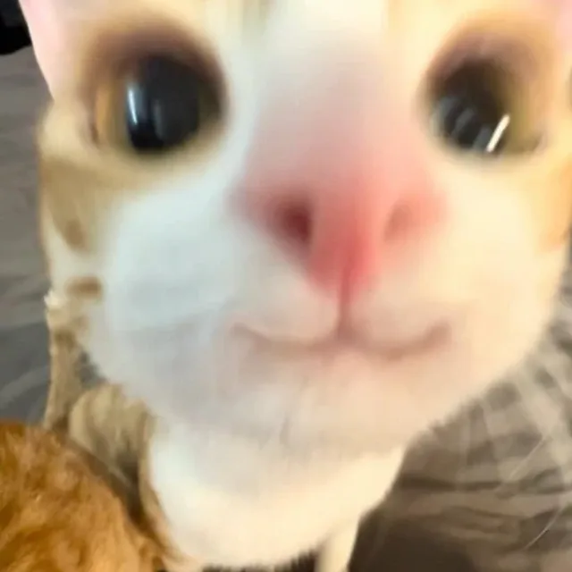 jiny