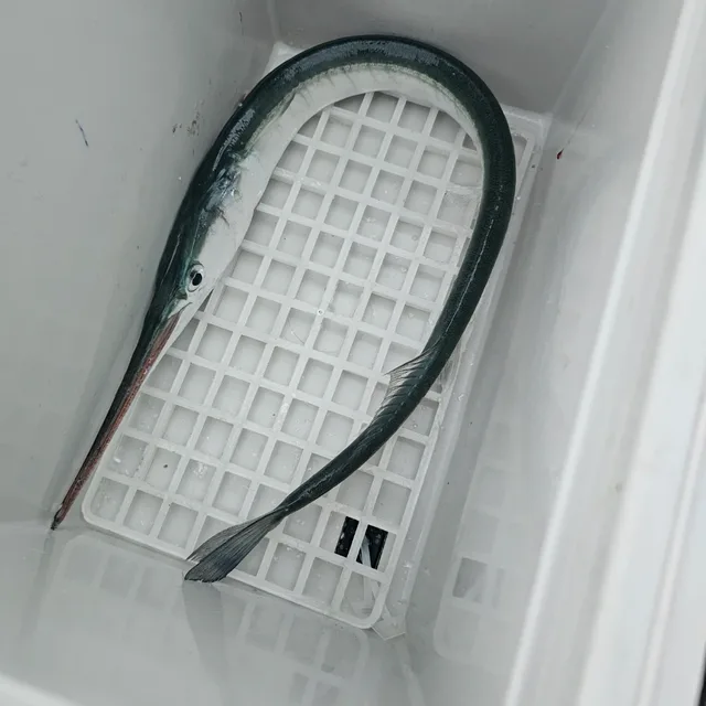 자유대한민국만세