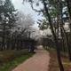 좋은아저씨