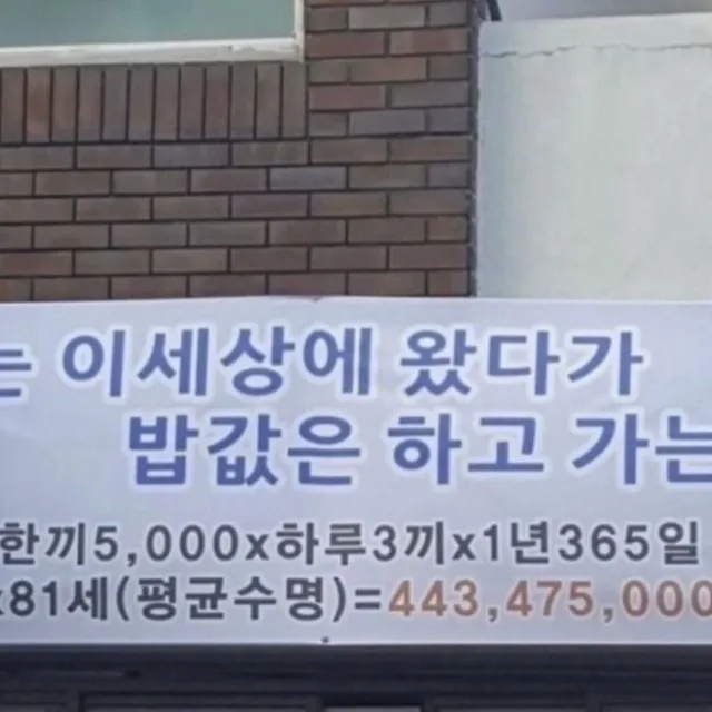 맛짱