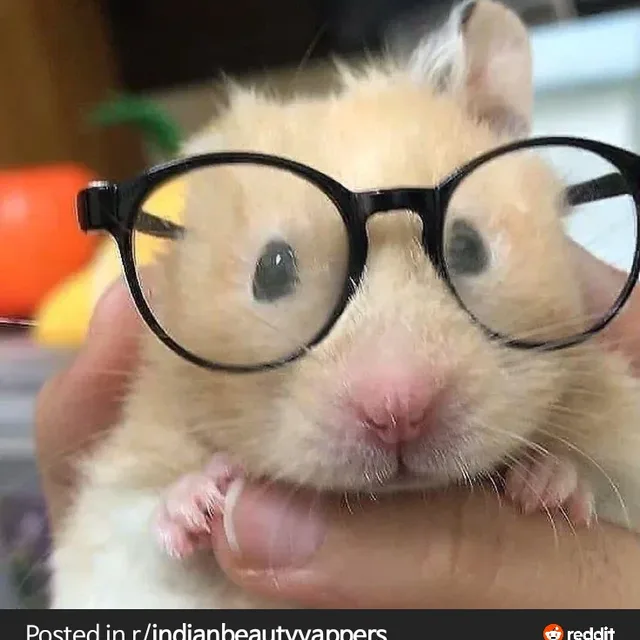 푸슝