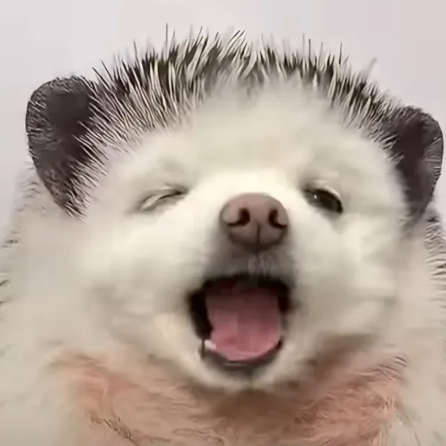 손잡고꽁냥꽁냥