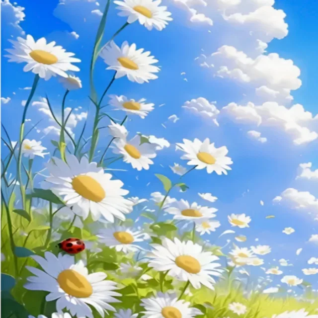 단풍잎
