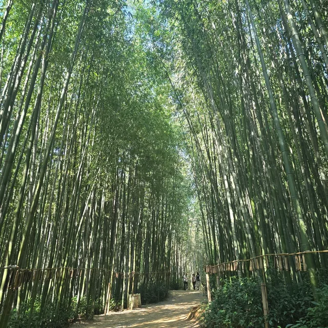 담봉
