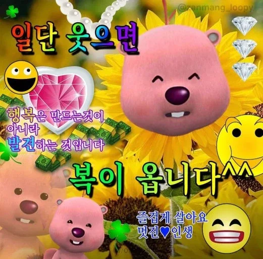 당근당근
