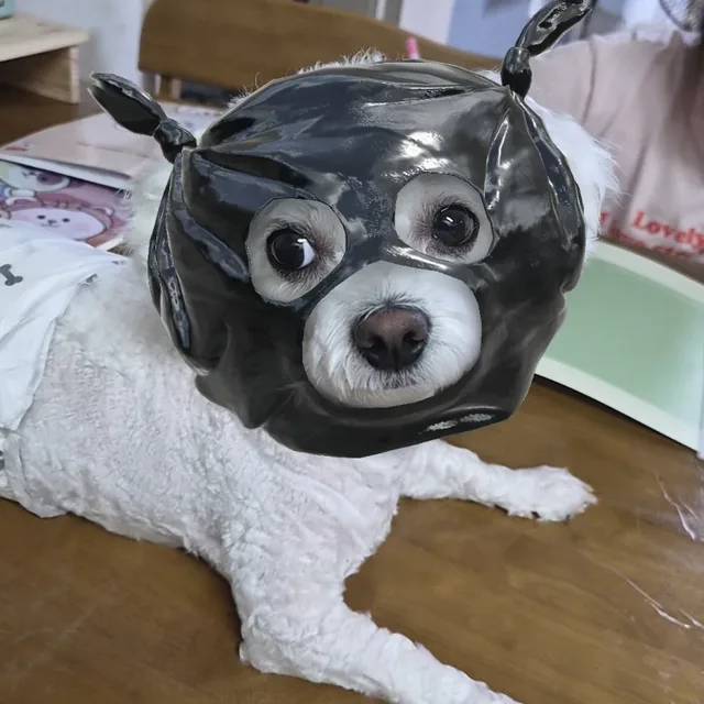 똥글똥글