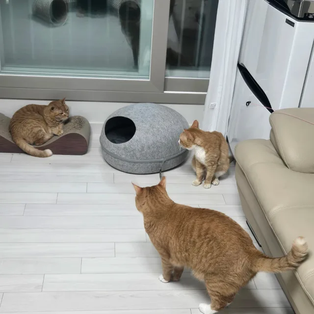 뽀민뽀동뻔칠맘