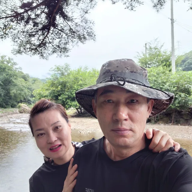애니