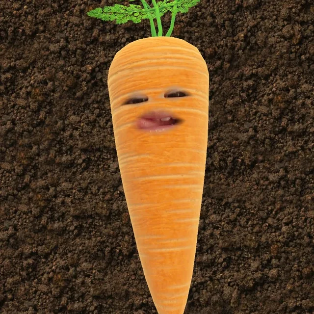 류냐