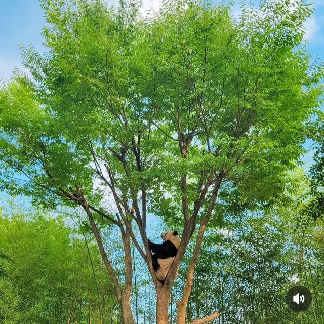 당근한스푼