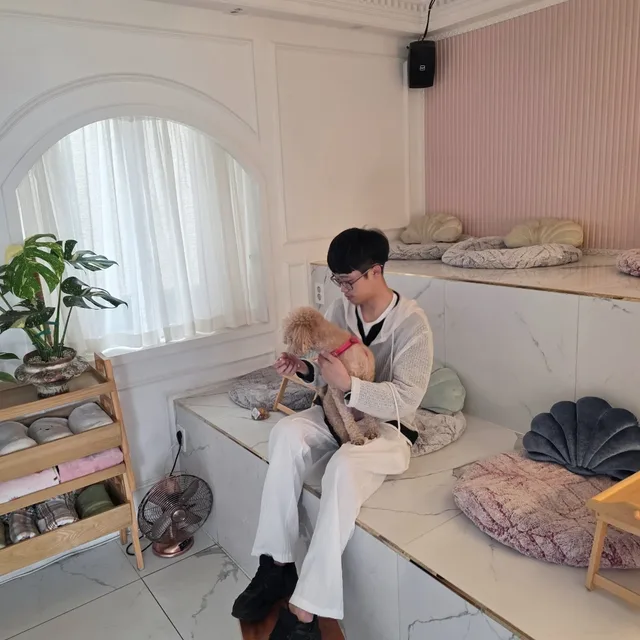 당근왜정지지