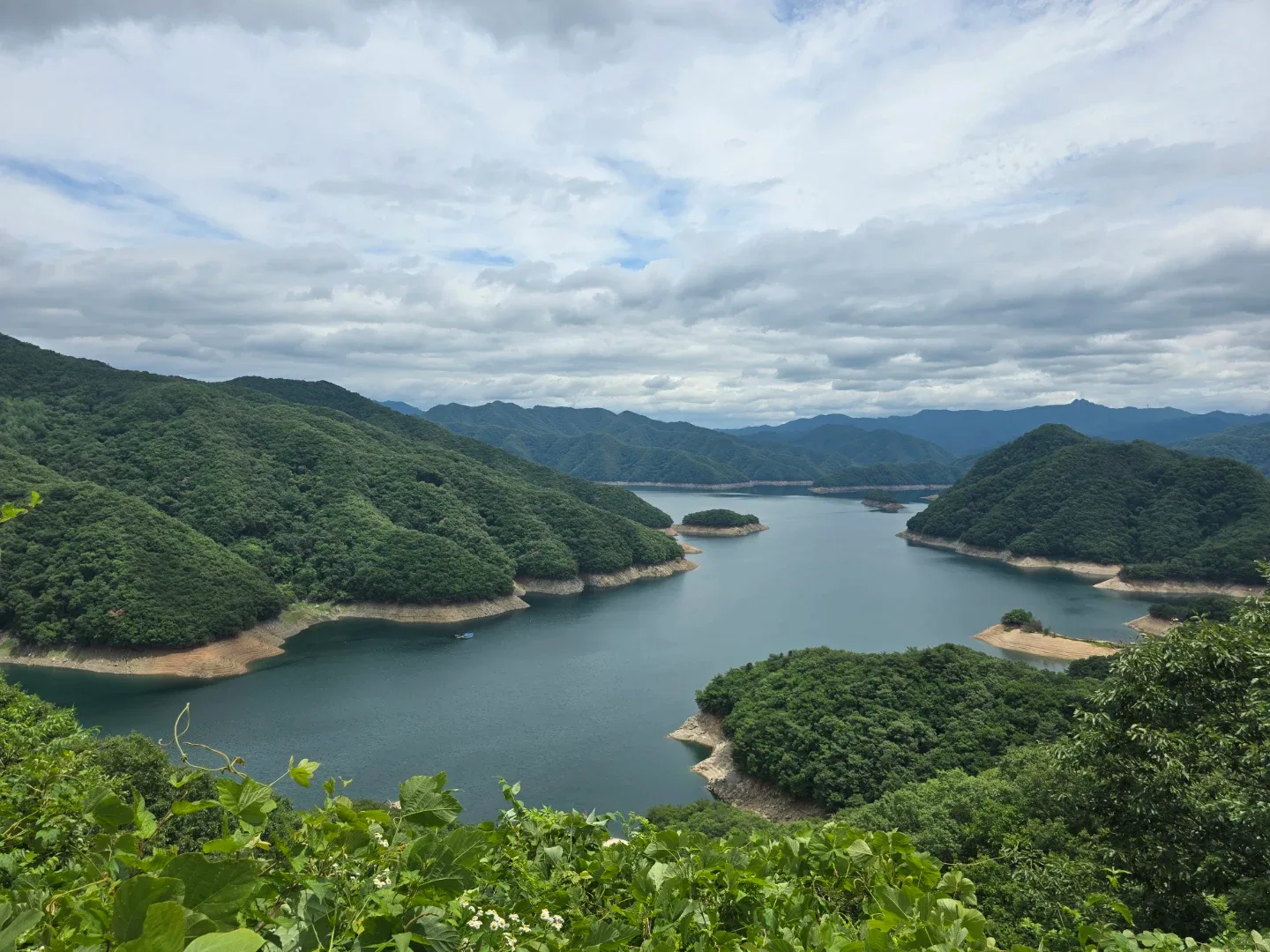 오로라