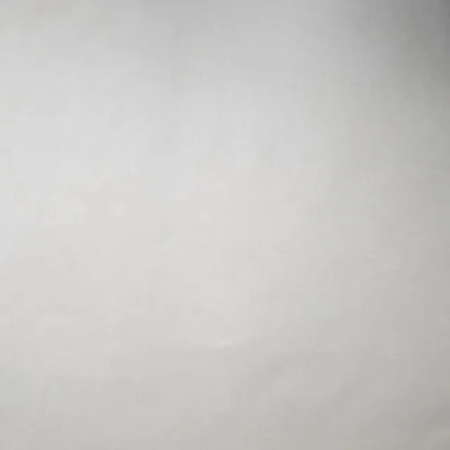 테드장