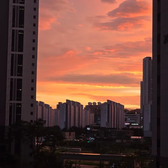 오여사