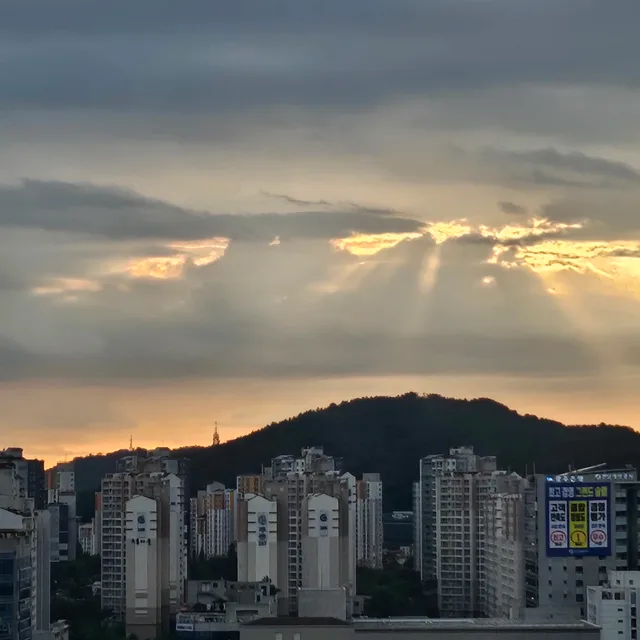 이사준비중