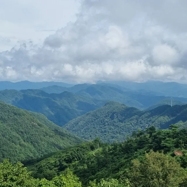 조아
