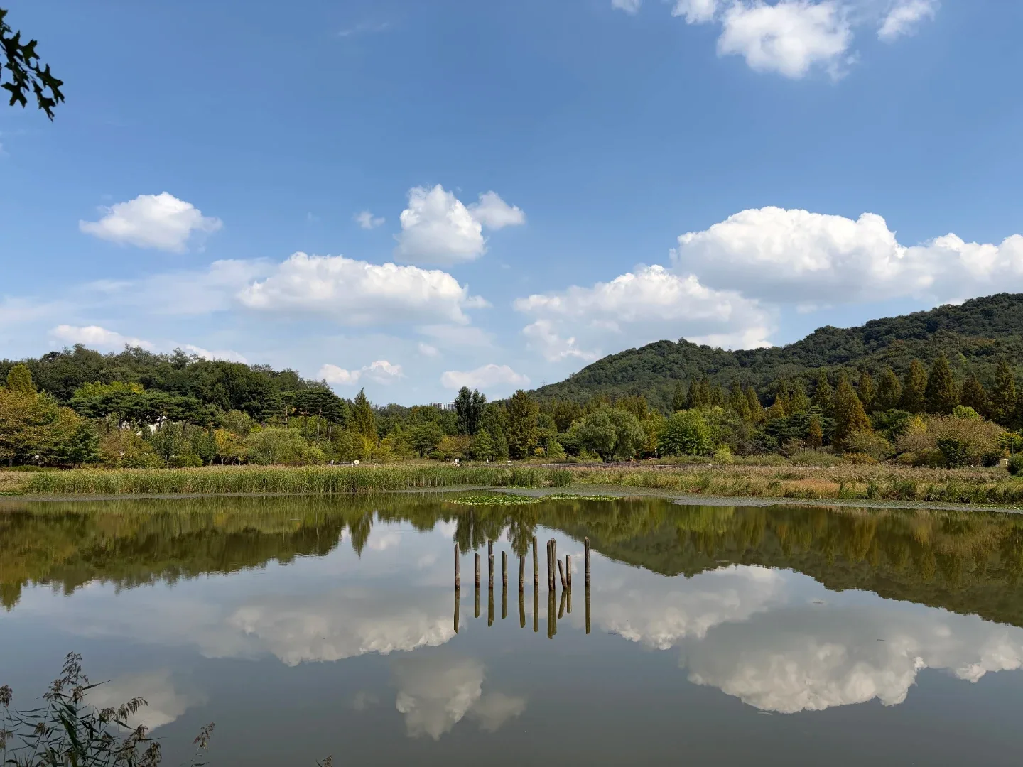 돌돌