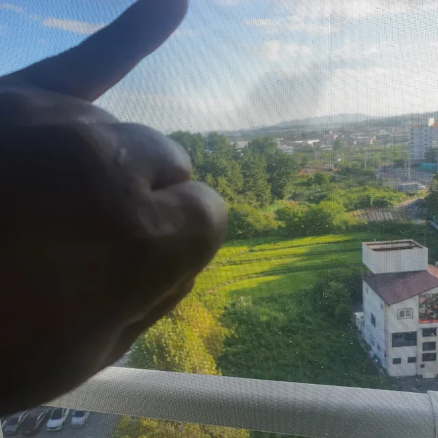 벽리단