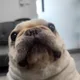 루나틱