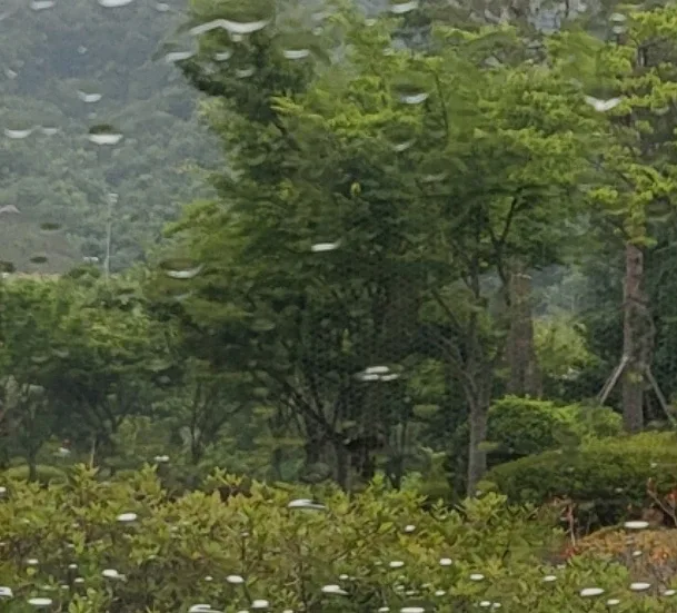 흥부자