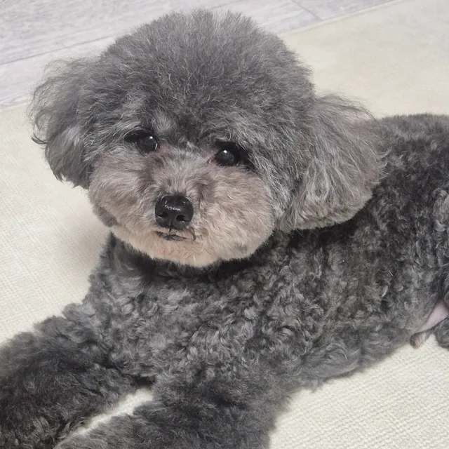 효나