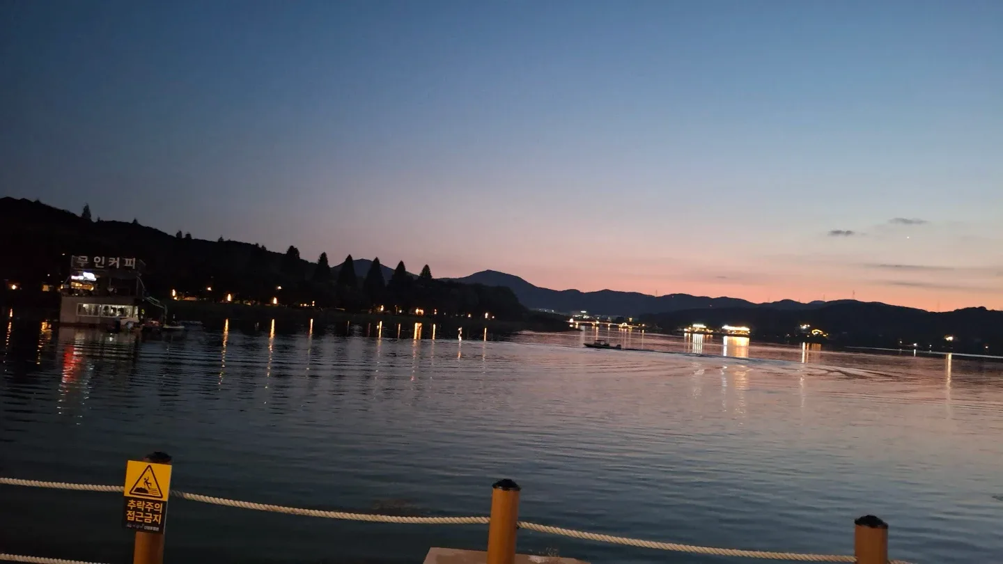 당근당근