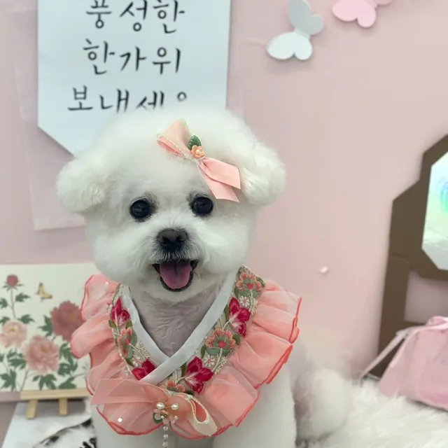 몽실몽실