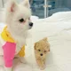 우유