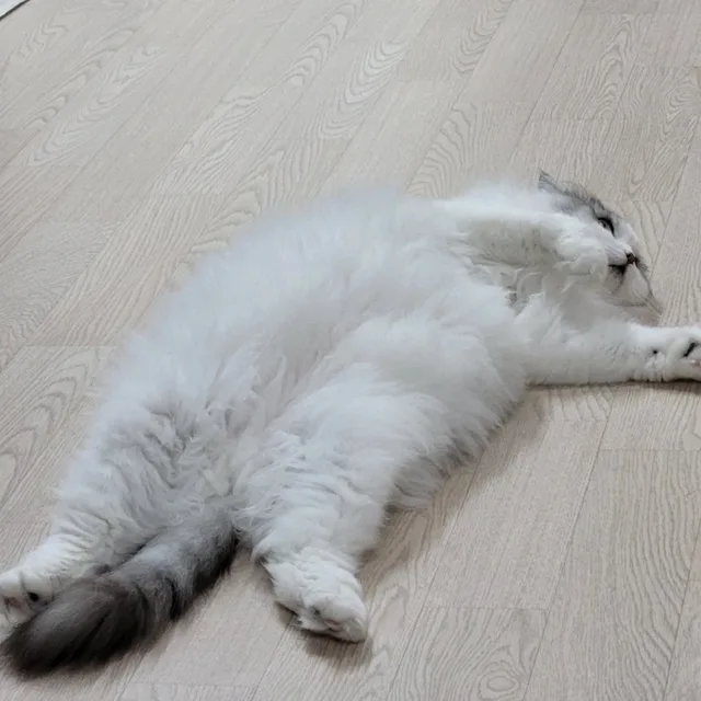 방토리