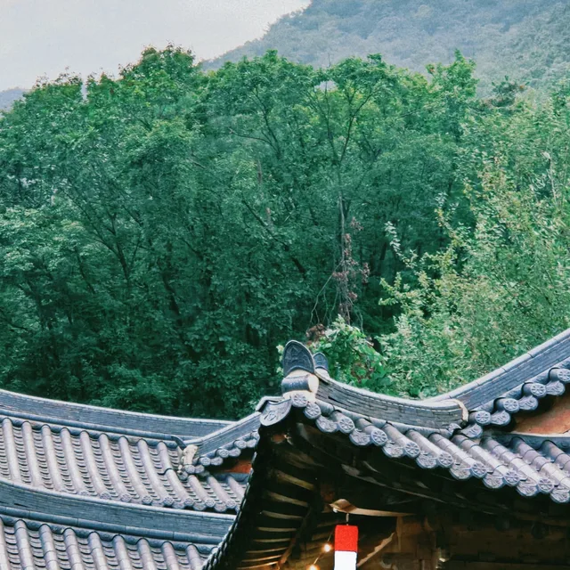 가모니