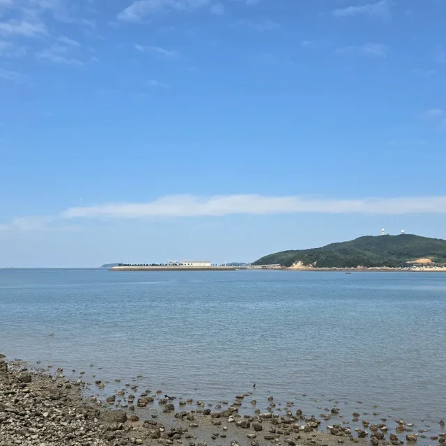 내일도행복