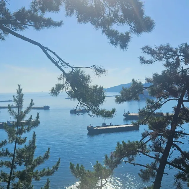 리베로