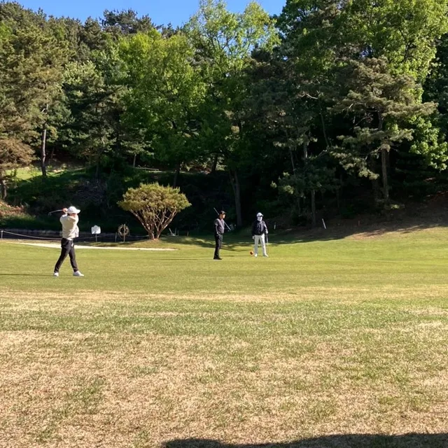 대세