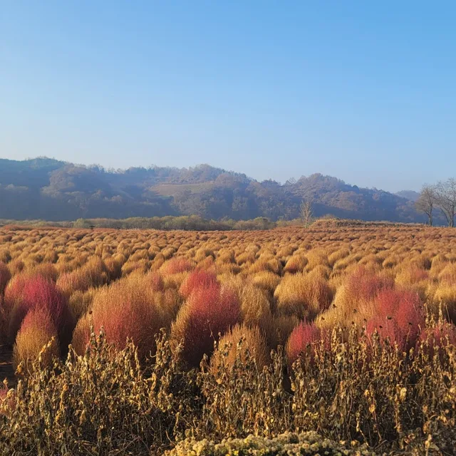 FC바로셀로나
