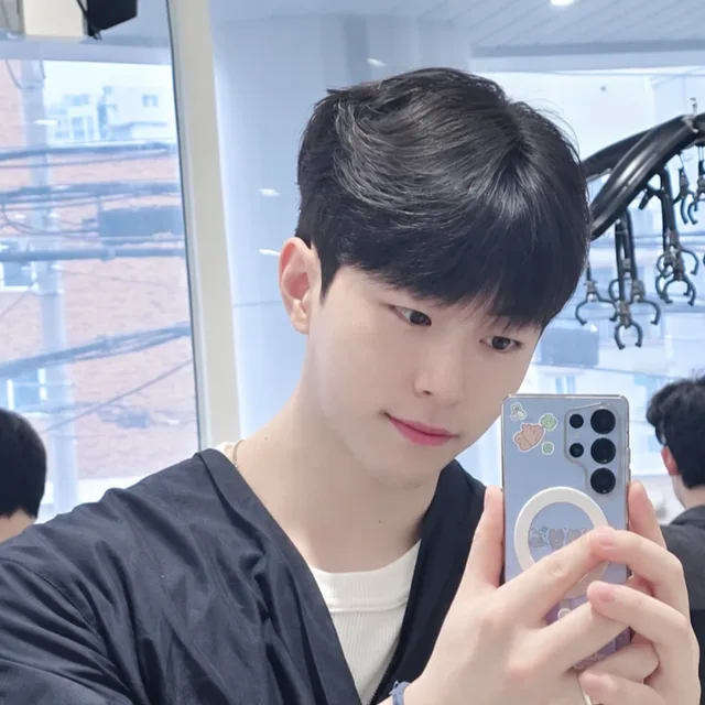 고양이최고